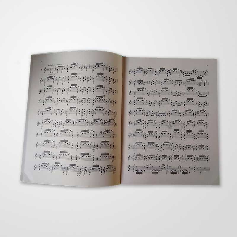 Zwölf Etüden, Op. 29 (12 Estudos)