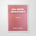 Mikrokosmos Vol. V